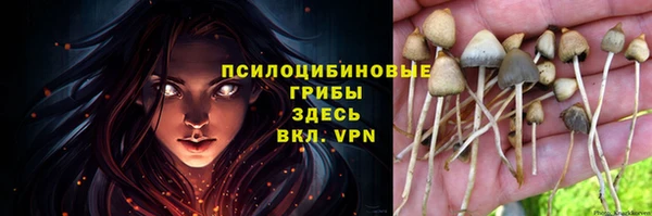 mdpv Заволжье
