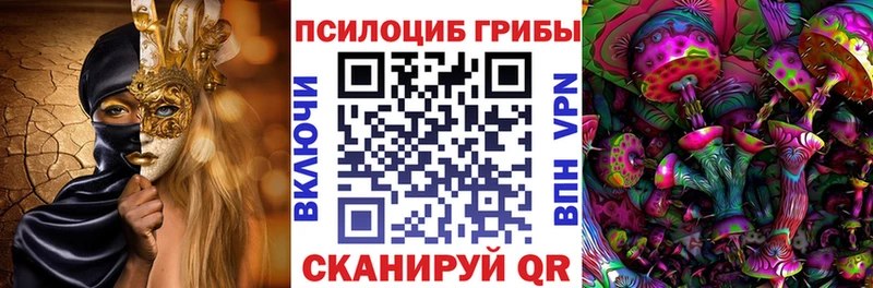 Купить закладки  Колпашево  Псилоцибиновые грибы прущие грибы 