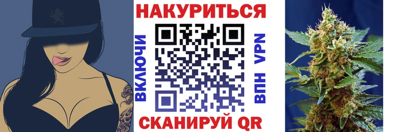 Купить закладки  Колпашево  Шишки марихуана сатива 